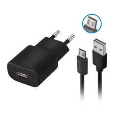 Forever TC-01 charger 1x USB 2A black + microUSB cable 5900495623294