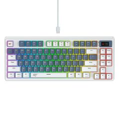 Mechanical Gaming Keyboard Havit KB884L white 6939119075767
